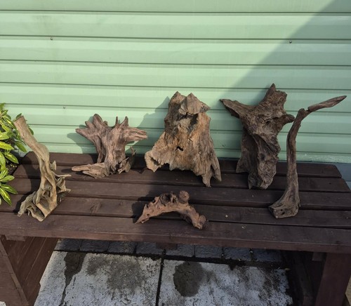 Bogwood for aquarium some - for,
