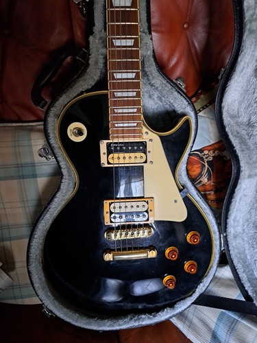 Hohner professional guitar - hohner,