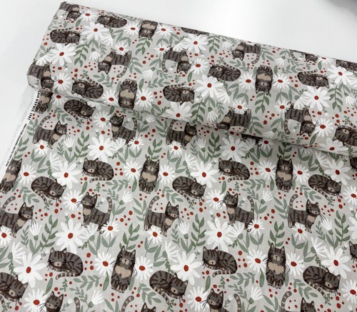 Malley tabby cat - tabby, cotton