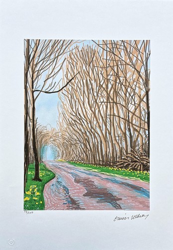 David hockney the arrival of - hockney,