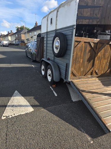 Project horse trailer - project,