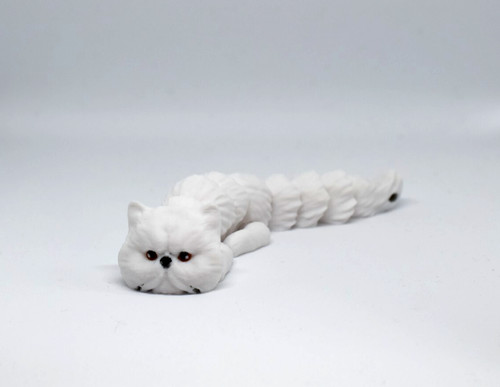 Printed persian cat - printed,