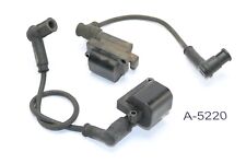 Ducati Monster 696 ABS 2010 - Ignition Coils A5220