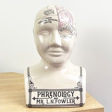 MARKED Large Phrenology Head
