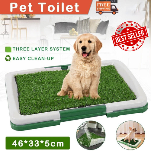 Pet dog toilet - dog, mat