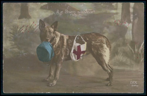 German shepherd red cross - red, war