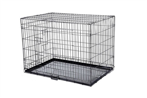 Confidence pet dog - pet,