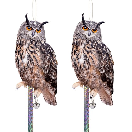 Bird scarers for gardens roofs - bird,