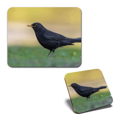 Mouse mat 1 square coaster - mouse,