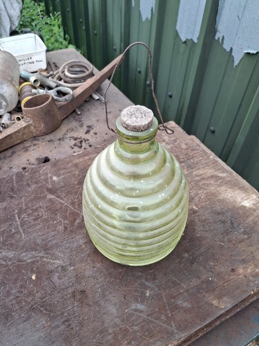 Old vintage glass fly trap - old,