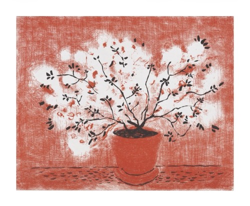 David hockney red wire plant - hockney,