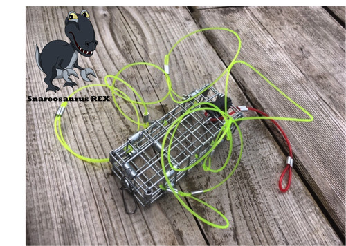 Crab lobster crayfish snare - lobster,
