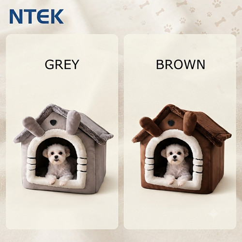 Pet house cat kitten - cat, bed
