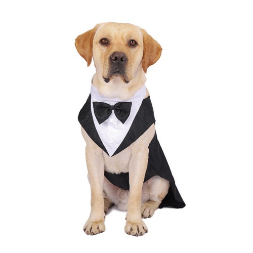 Puppy cotton tuxedo - tuxedo, suit