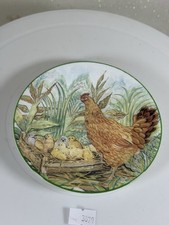 Royal Kendal Hen's & Chicks