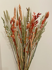 DRIED FLOWERS NATURAL & ORANGES 50 STEMS 35-50CMS LONG, AUTUMN, VASE, BOUQUET