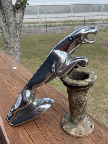 Vintage leaping jaguar leaper - leaping,