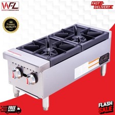 Professional 2 Burner Gas