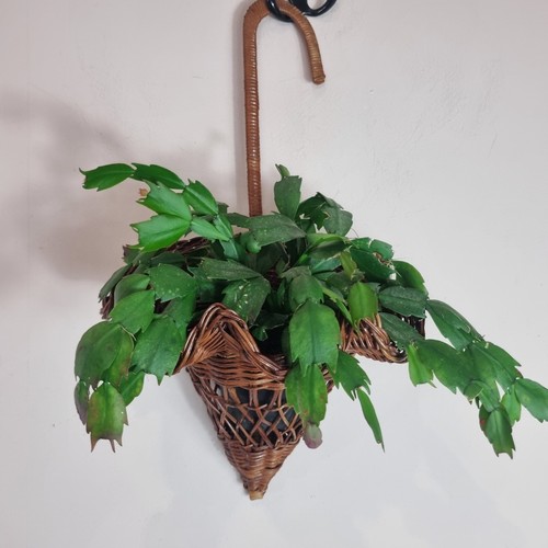 Wicker rattan hanging basket - rattan,