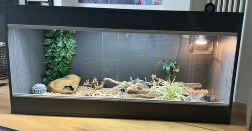 Complete vivarium setup - complete, –