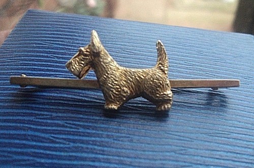 Scottie westie dog - dog, west