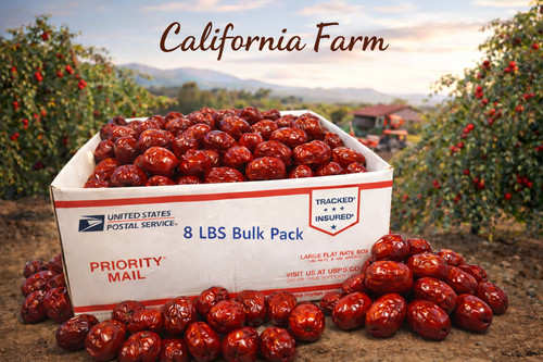 100 organic dried jujube date - jujube,