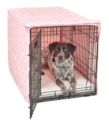 New world intermediate dog - world,