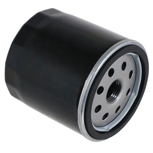 Oil filter for briggs - oil,