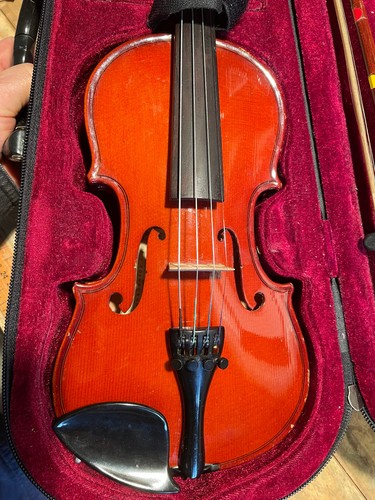 Size violin supplied - supplied, in