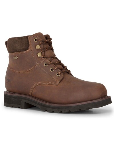 Hoggs fife cronos - fife,