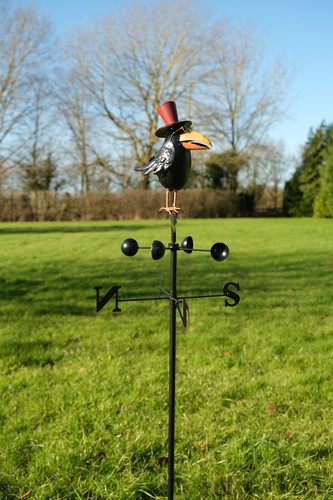 Crow weather vane decorative - crow,