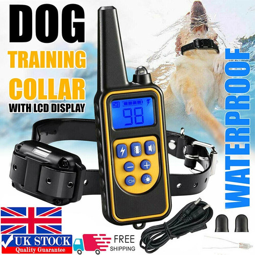 800m electric pet dog - dog, training