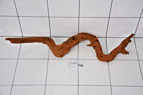 Aquarium natural driftwood - natural,