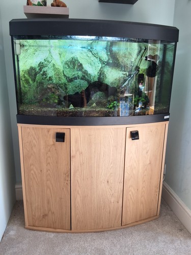 Fluval vicenza 180l - 180l, bowfront