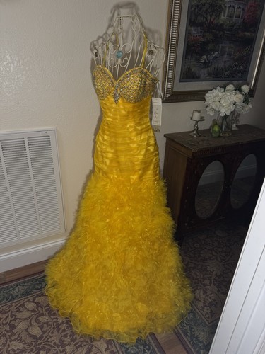 Tiffany designs dress gown - designs,