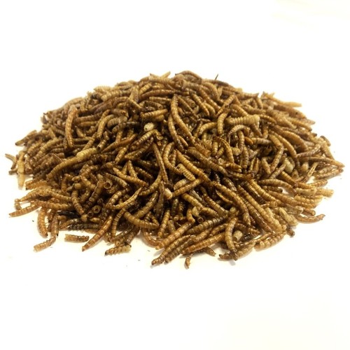 4kg premium dried - 3,