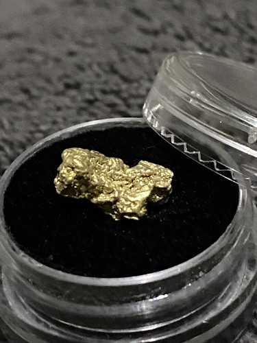 81g raw gold alaskan nuggets - raw,