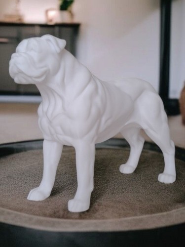 The american bulldog - the,