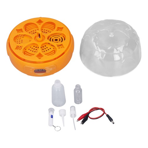 Eggs fully automatic - fully, egg