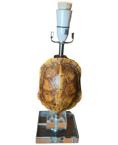 Tortoise shell effect ceramic - shell,