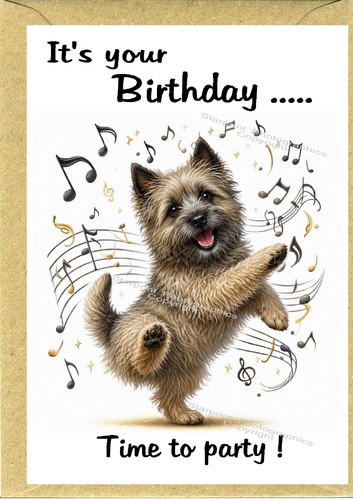 Cairn terrier dog - cairn, birthday