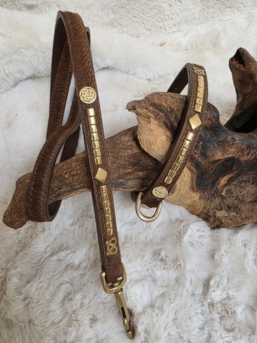 Luxury staffy bull terrier - luxury,