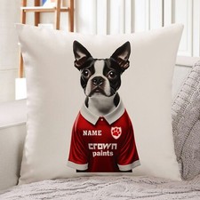 Liverpool Boston Terrier