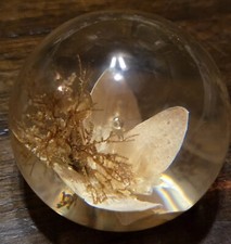 Haford Grange Interesting