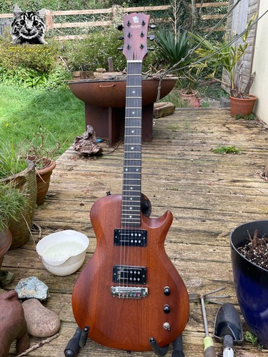 Reloved guitars prs style - reloved, prs-style