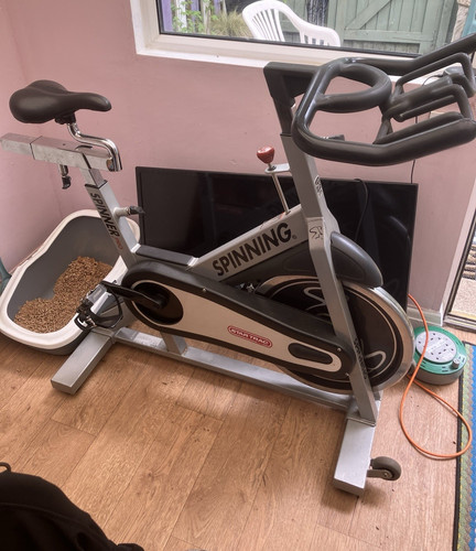 Star trac spinner pro upright - spinner,