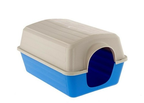 Guinea pig chinchilla plastic - guinea,
