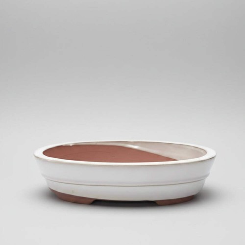 26cm glazed bonsai pot oval - bonsai,