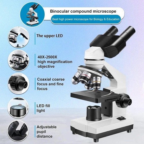 Adults binocular microscope - binocular,