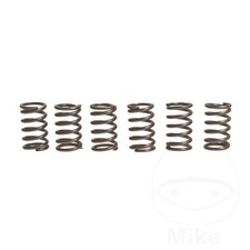 EBC Clutch Spring Kit (6)